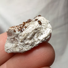 Load image into Gallery viewer, Tourmaline Dravite de Vendée
