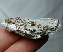 Load image into Gallery viewer, Tourmaline Dravite de Vendée
