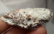 Load image into Gallery viewer, Tourmaline Dravite de Vendée
