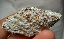 Load image into Gallery viewer, Tourmaline Dravite de Vendée

