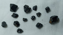 Load image into Gallery viewer, Spinelles noirs de Haute Loire
