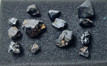 Load image into Gallery viewer, Spinelles noirs de Haute Loire
