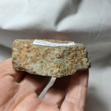 Charger l'image dans la galerie, Eclogite à grenats

