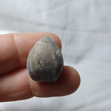 Charger l'image dans la galerie, Gallienithyris cf. gallieni
