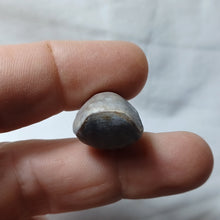 Charger l'image dans la galerie, Gallienithyris cf. gallieni
