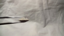 Charger l'image dans la galerie, Zeilleria quiaosensis ?
