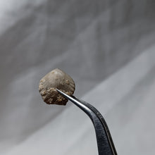 Charger l'image dans la galerie, Pseudogibbirhynchia fallax
